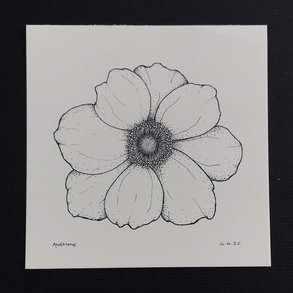 Floral Illustration pt 1 - image 3 - student project