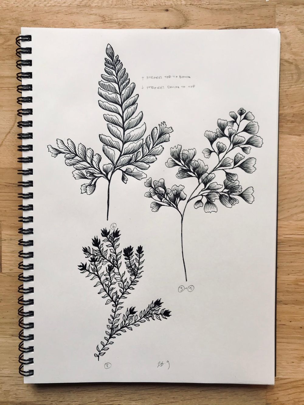 The art of ink: tropical leaves - image 4 - student project