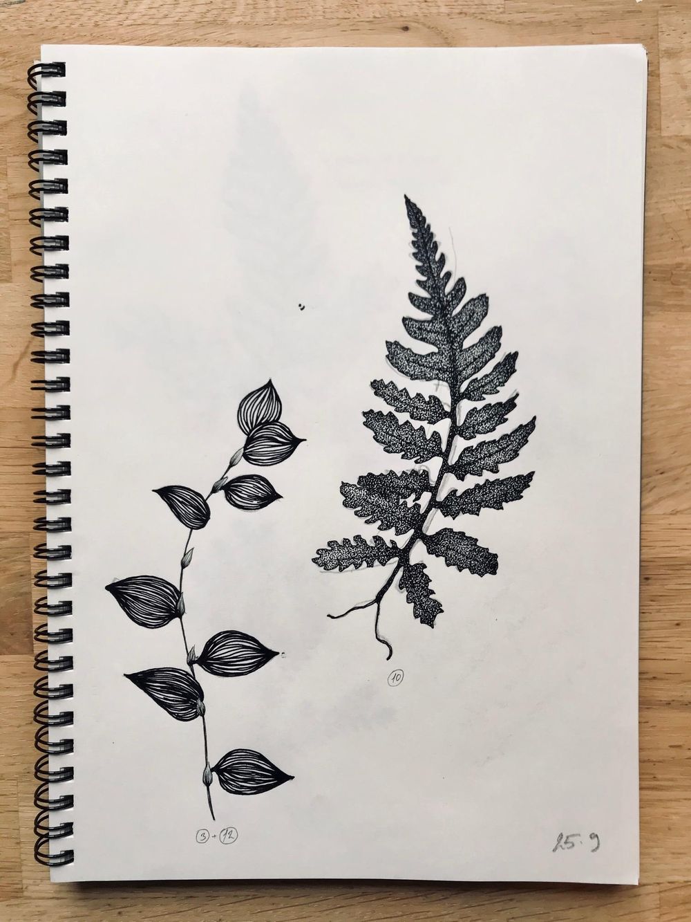 The art of ink: tropical leaves - image 3 - student project