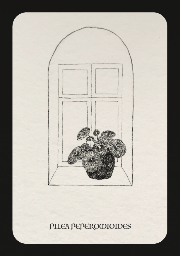 Postcards from here - image 5 - student project