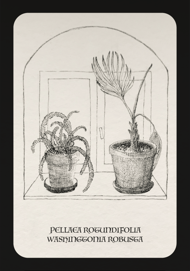 Postcards from here - image 4 - student project