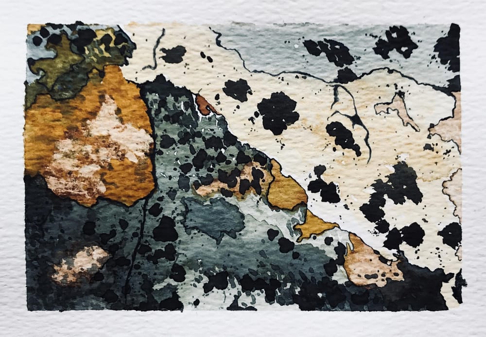 Natural textures with watercolour - image 1 - student project