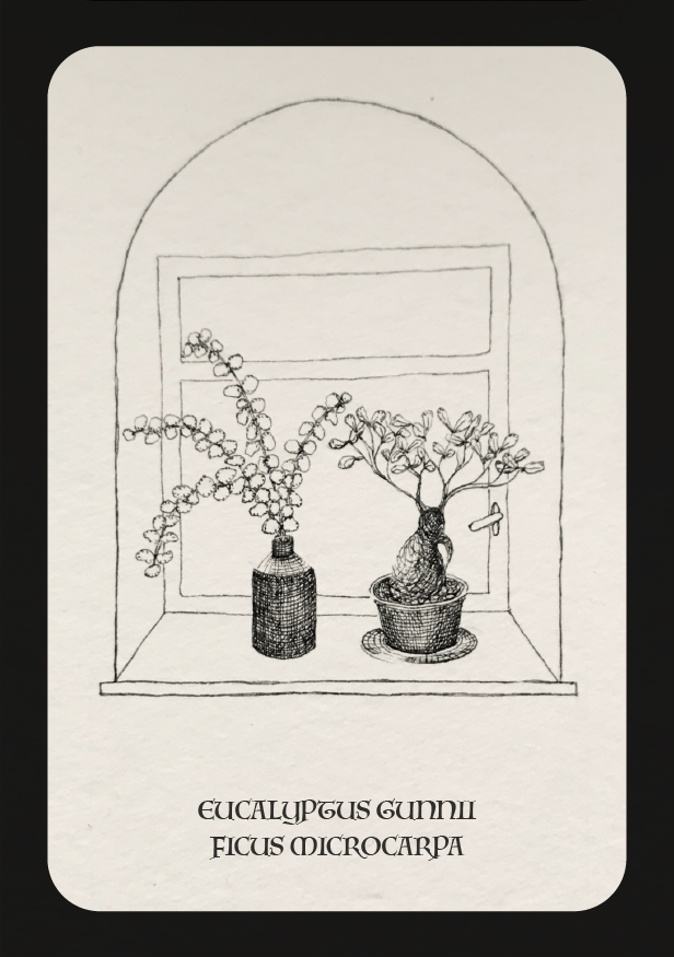Postcards from here - image 6 - student project