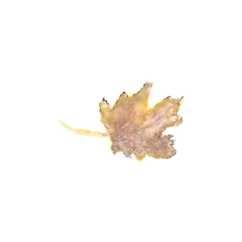 Leaf selections - image 2 - student project