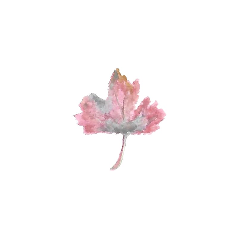 Leaf selections - image 5 - student project