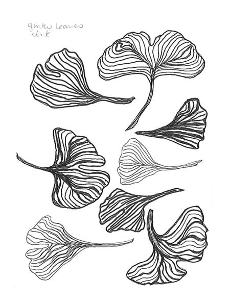 Autumn leaves - image 3 - student project