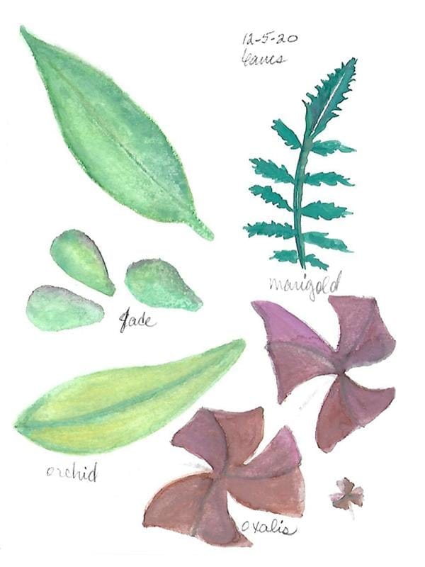 Watercolor leaves - image 1 - student project