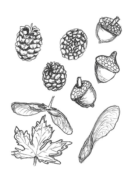 Autumn leaves - image 4 - student project