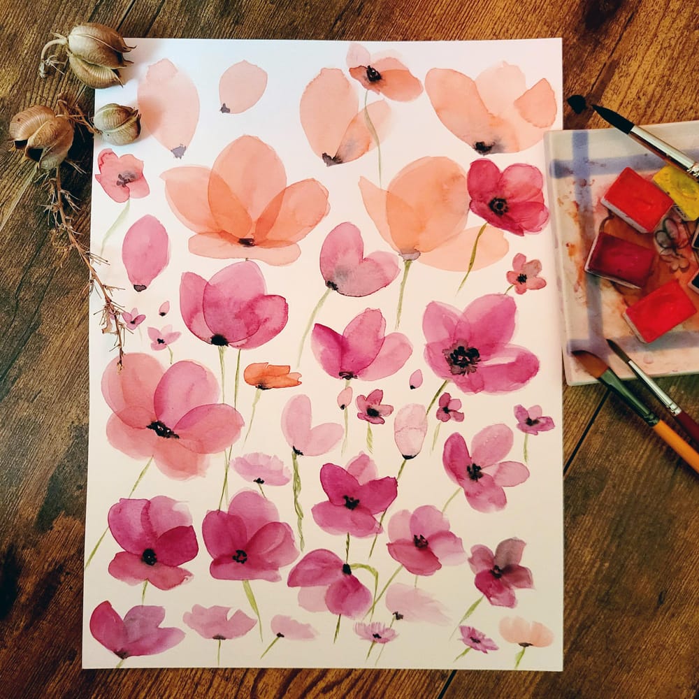 nothing but poppies - image 2 - student project