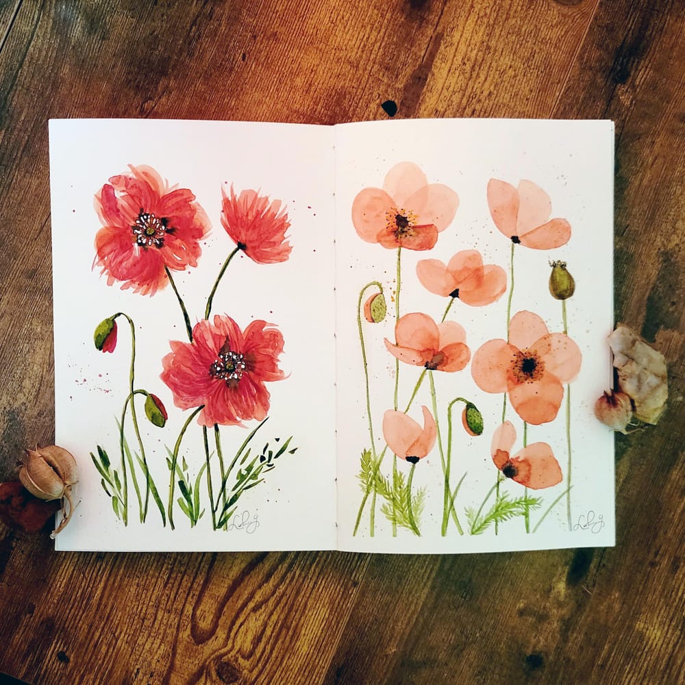 nothing but poppies - image 4 - student project