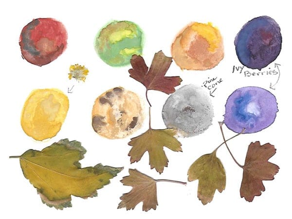 Autumn leaves - image 5 - student project