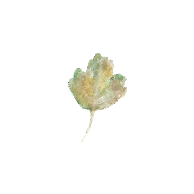 Leaf selections - image 4 - student project
