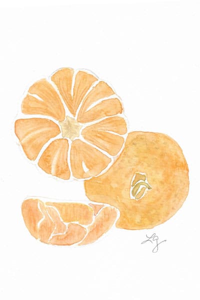 Fruits & Florals - image 3 - student project