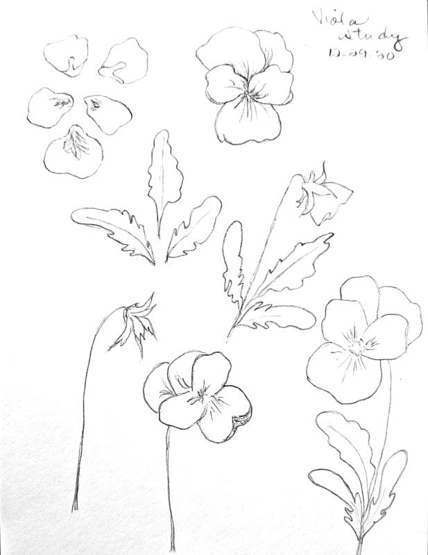 Viola study - image 1 - student project