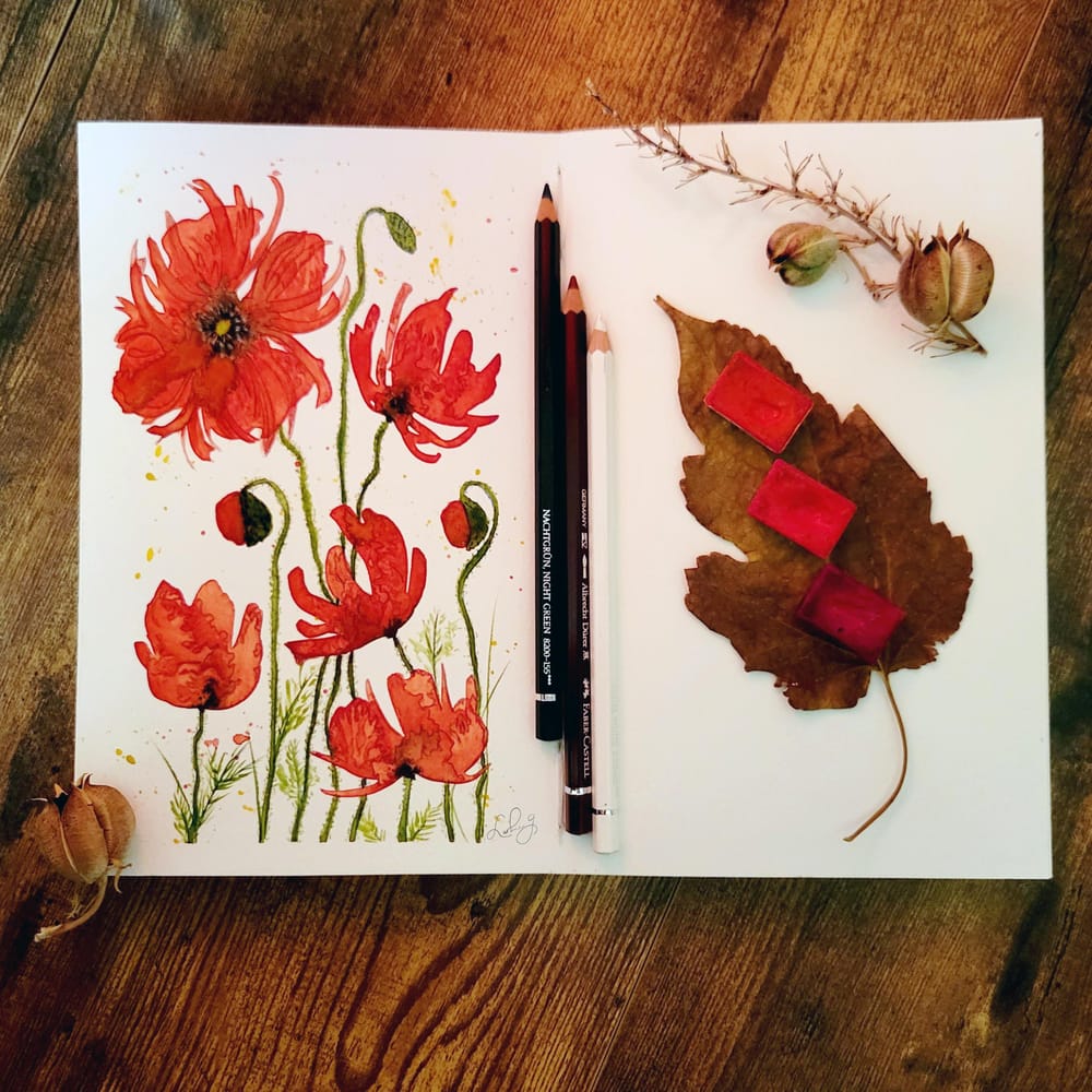 nothing but poppies - image 5 - student project