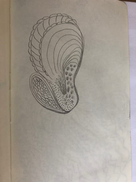 day 1, 2 and 3 - image 2 - student project