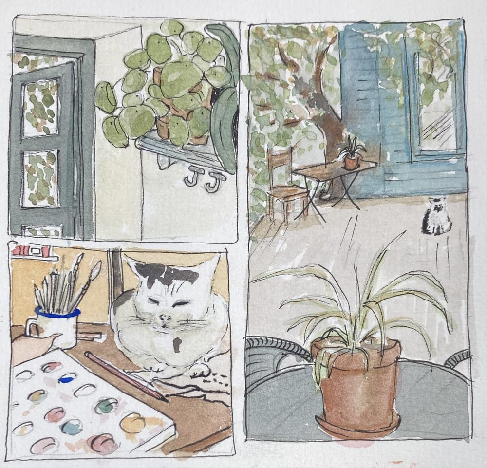 Ivy Cottage thumbnails - image 1 - student project