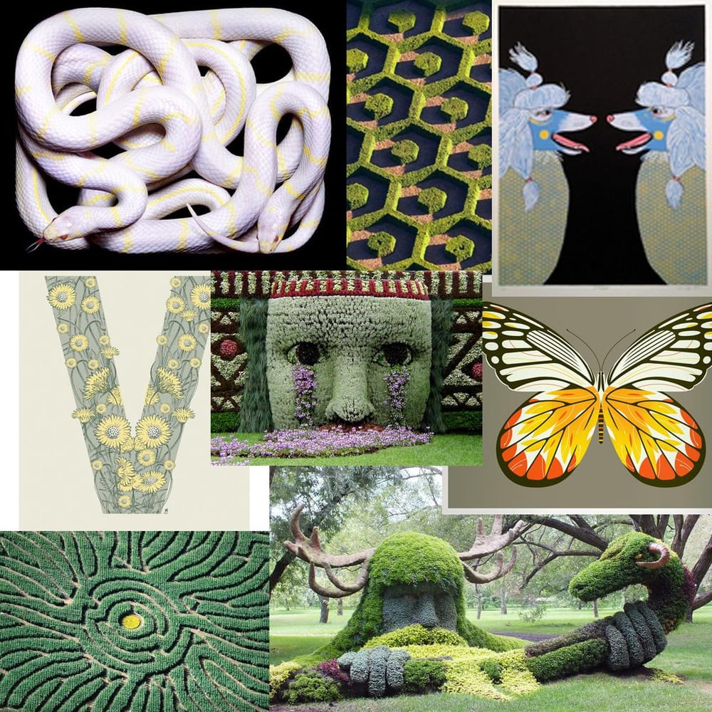 St Vincent @ Denver Botanic Gardens - image 5 - student project