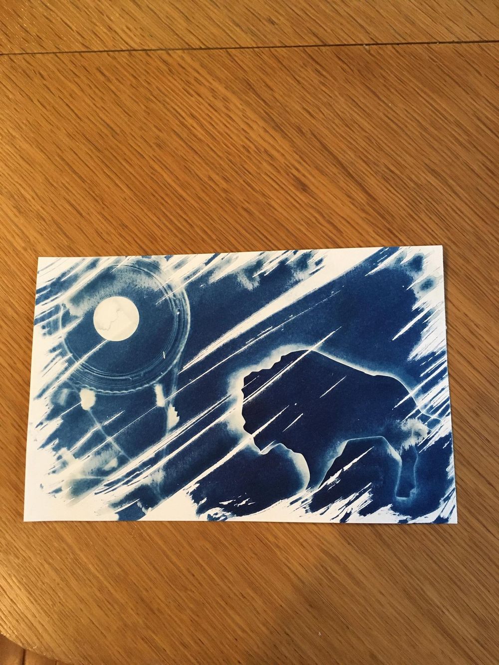 Wet cyanotype - image 1 - student project