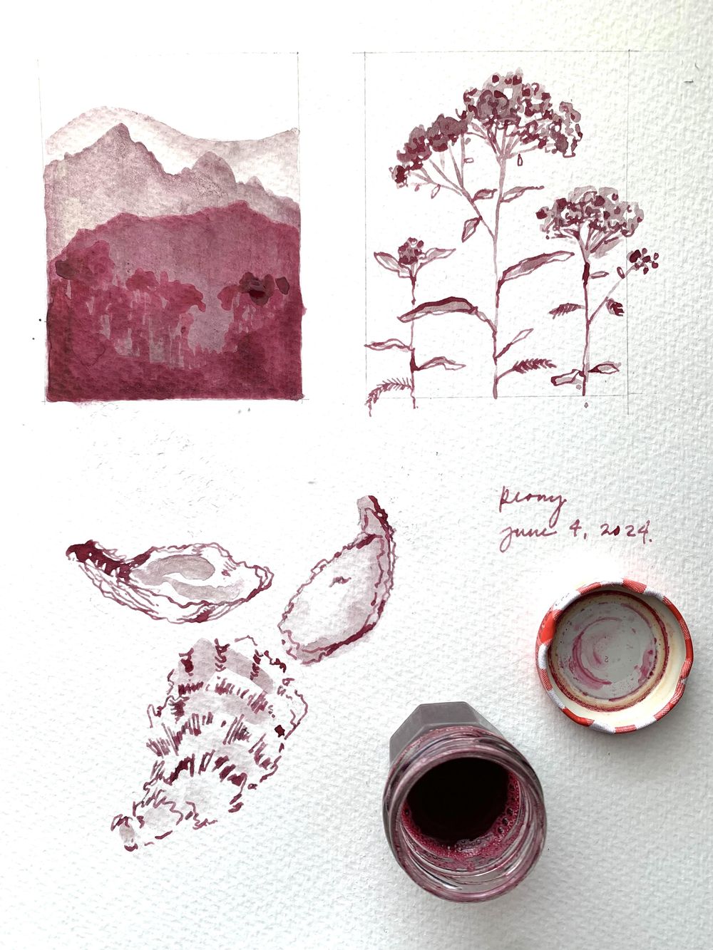 Peony Ink - image 1 - student project