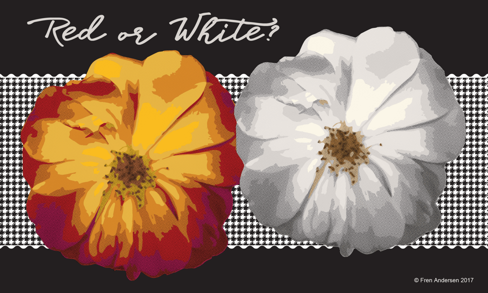 Red or White? - image 1 - student project