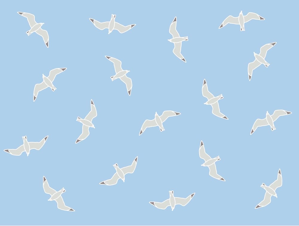 Create 3 focal point patterns in 3 weeks - image 8 - student project