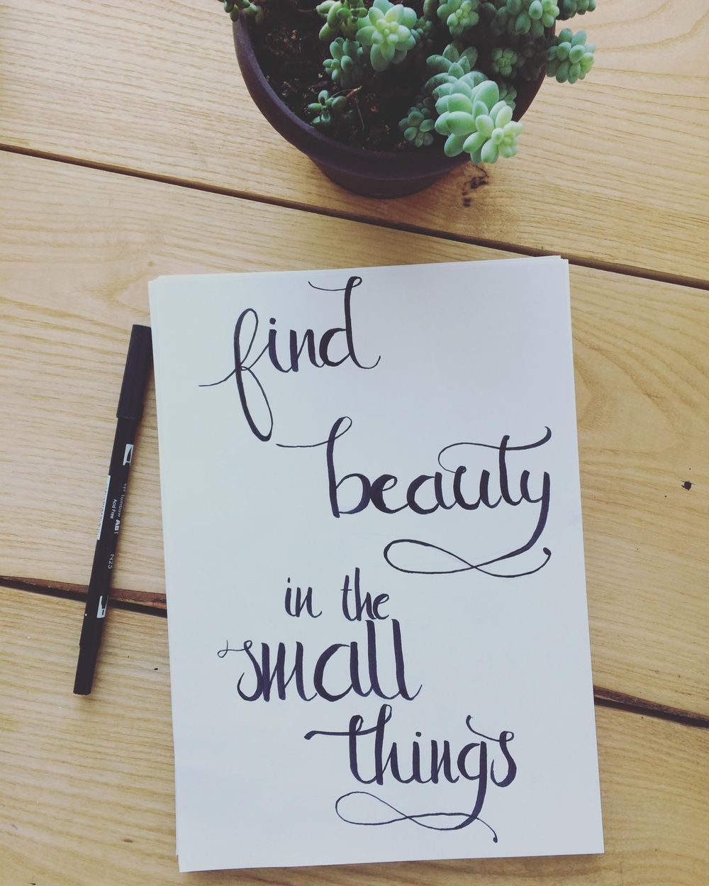 Find beauty in the small things - image 5 - student project