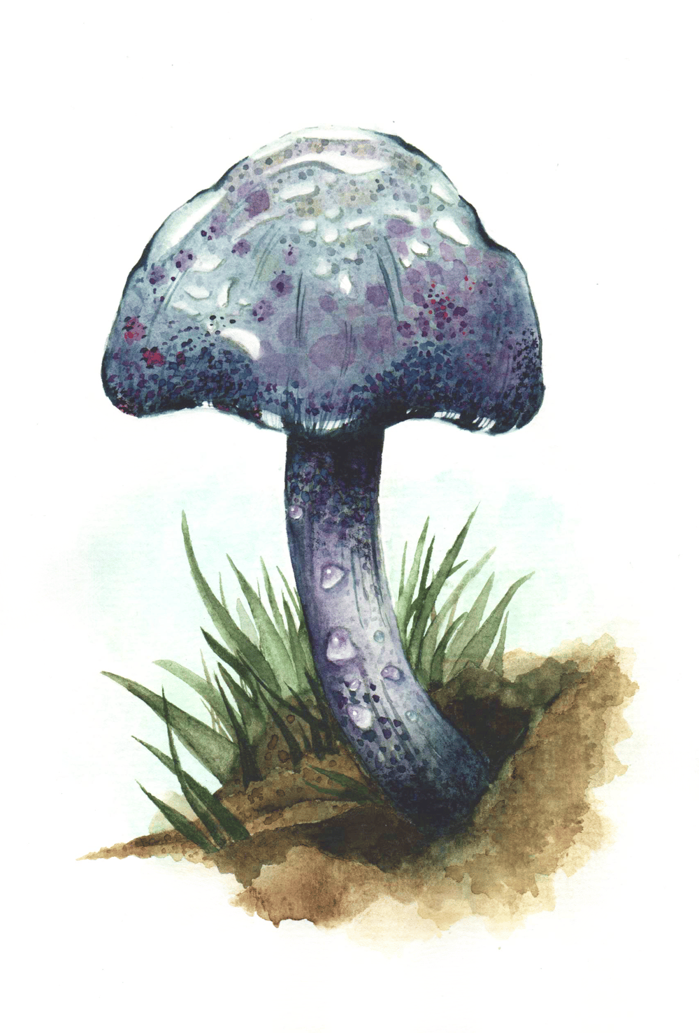 My speckled mushroom:) - image 1 - student project