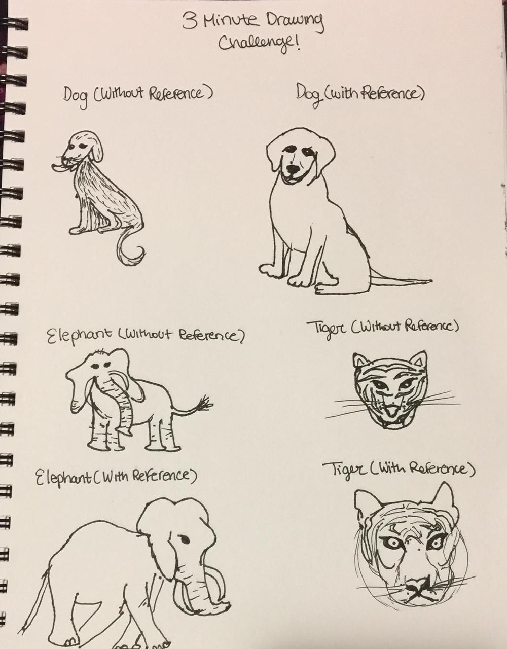 3 mins Sketches: Animals - image 1 - student project
