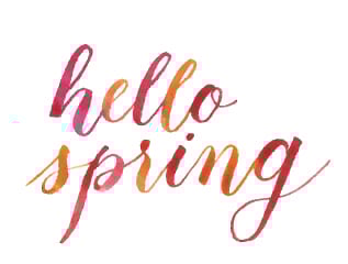 Hello Spring! - image 1 - student project