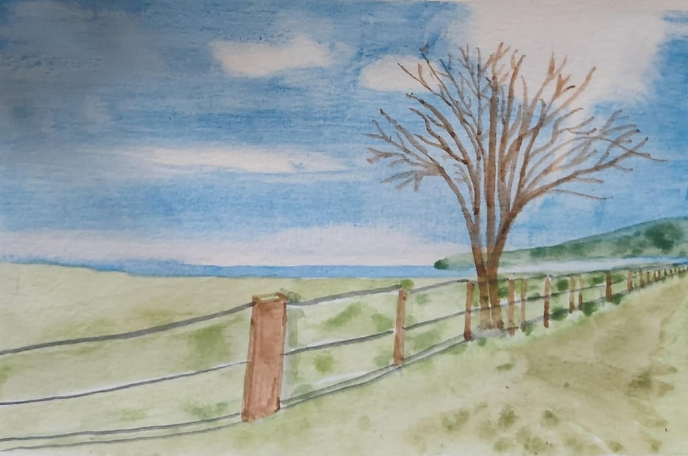 Landscapes - image 5 - student project