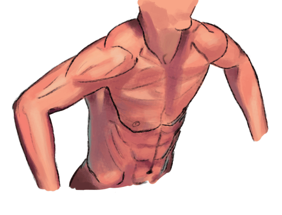 Drawing Torso Pool - image 4 - student project