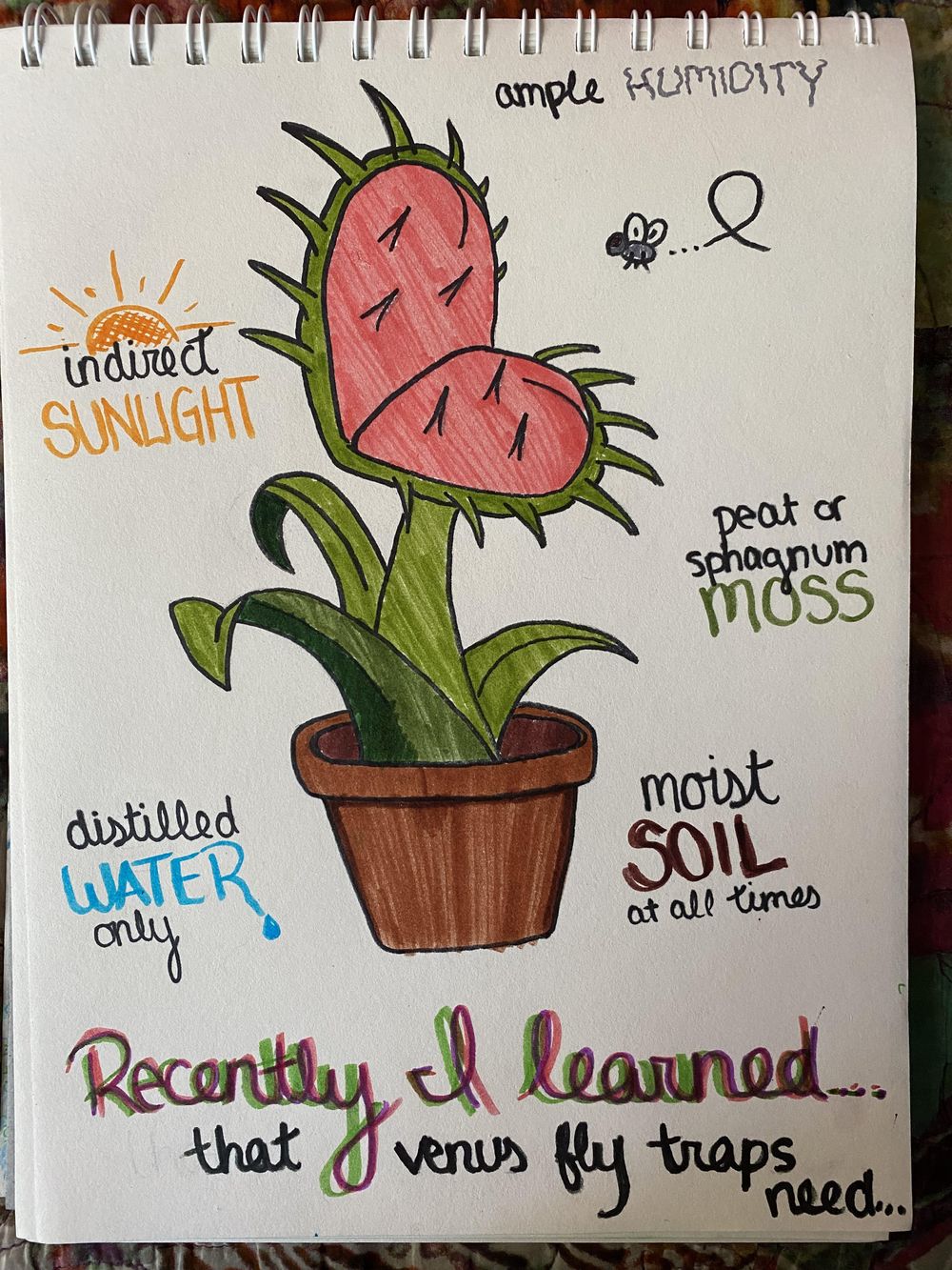 14 days of illustrated journaling - image 2 - student project