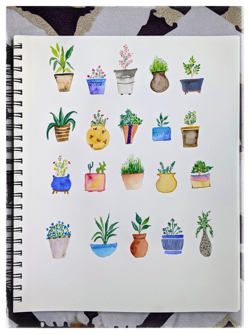 Potted plants with Vidhi Skillshare Student Project