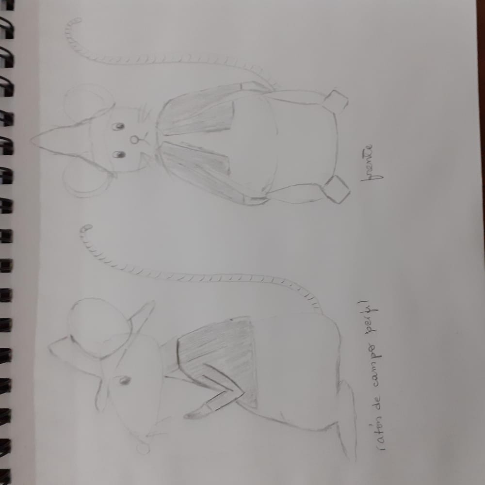 Character map for Country Mouse - image 1 - student project