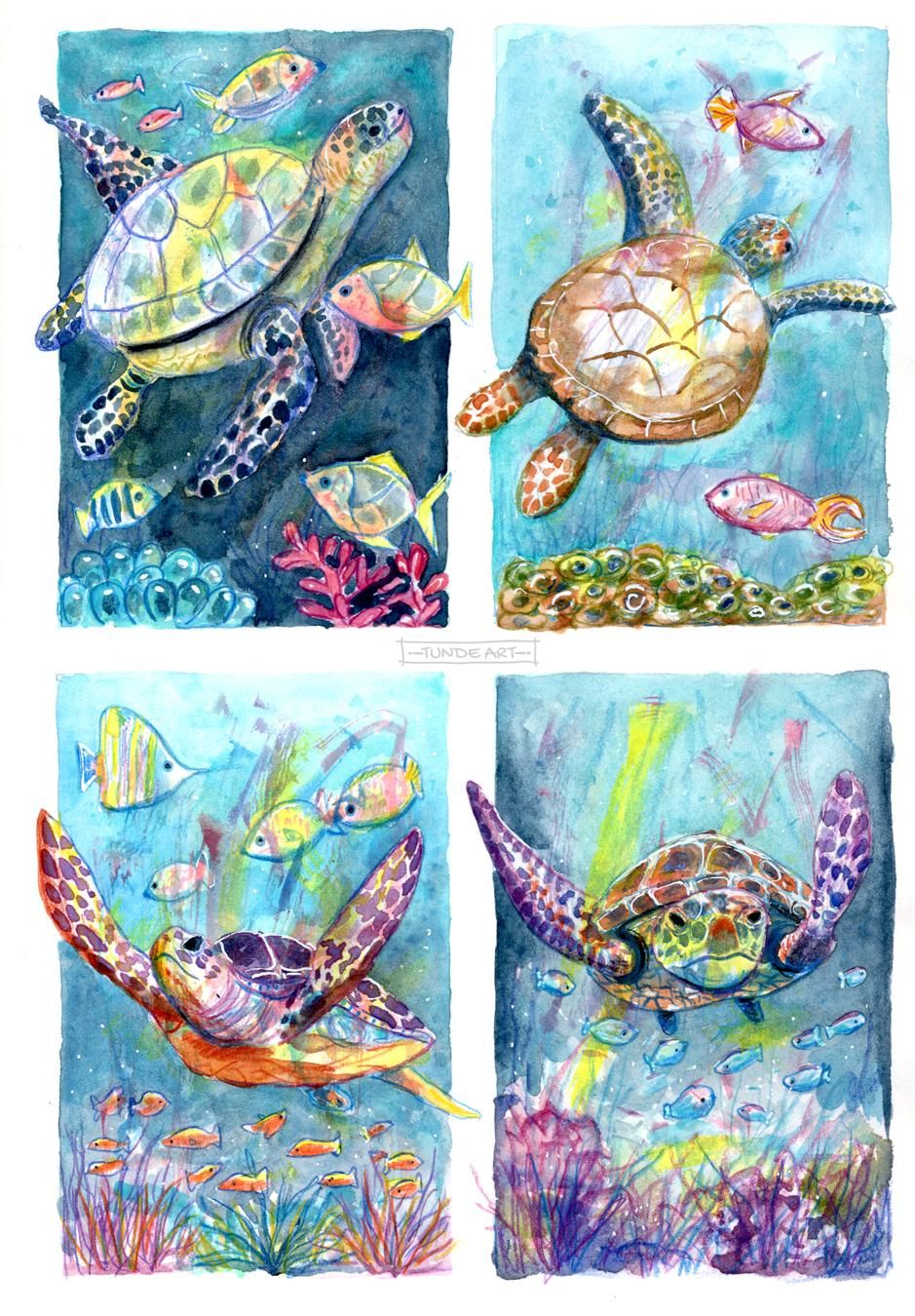 Amazing Sea Turtles - image 3 - student project