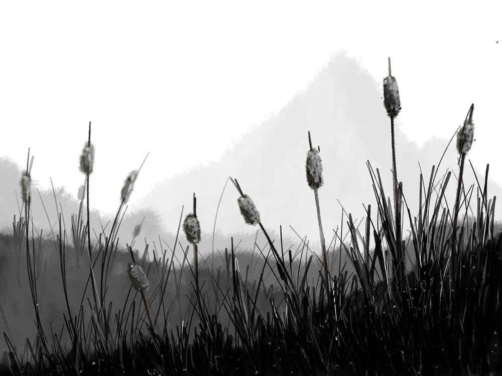 Dynamic Mark Making / Drawing with Expression & Creativity - image 2 - student project