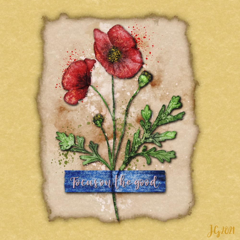 Poppy - image 1 - student project