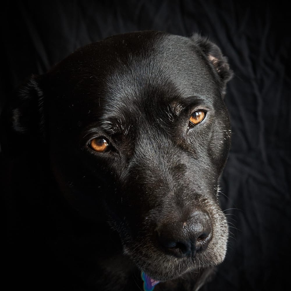 Tylers big photoshoot day - image 6 - student project