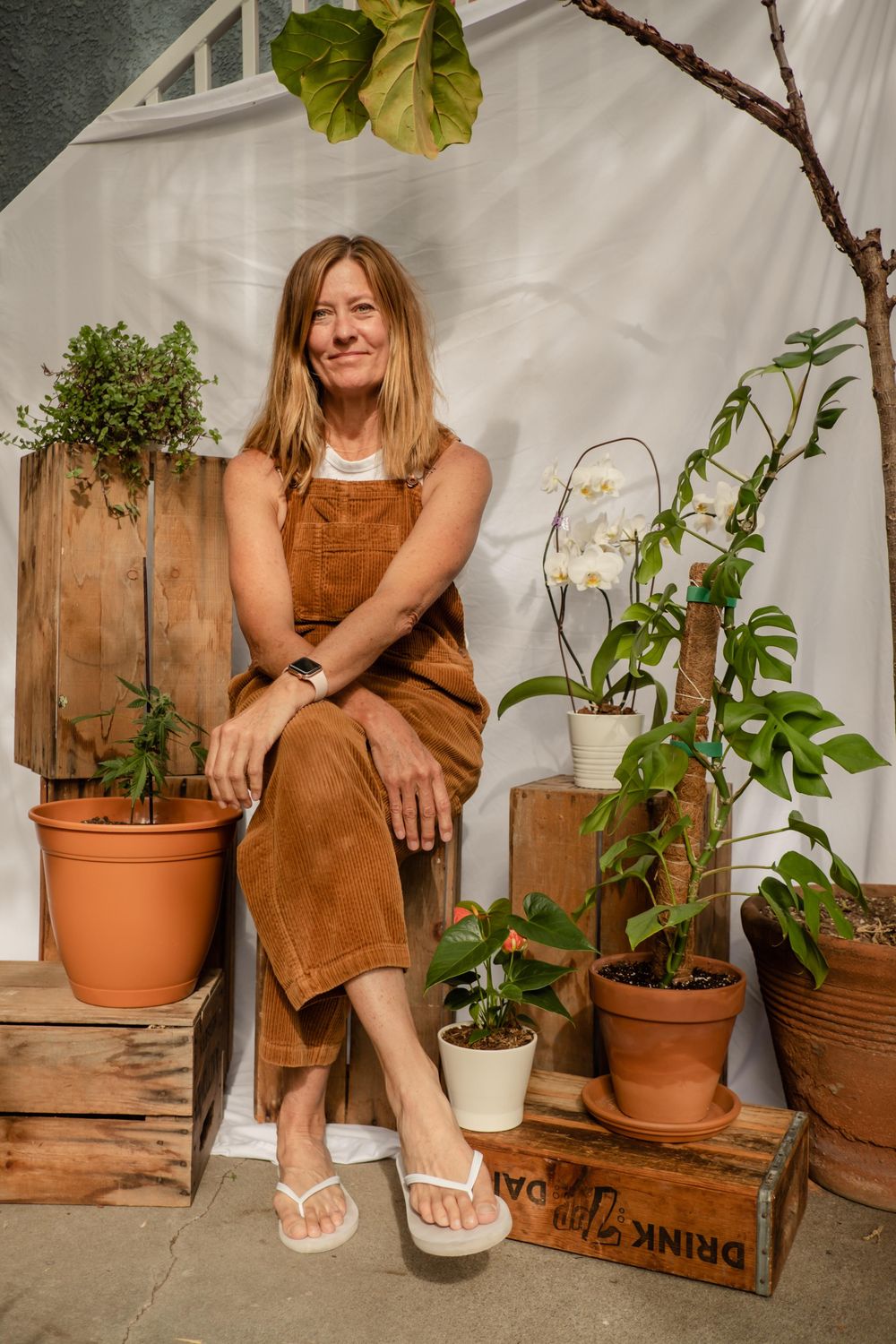 House Plant Photoshoot - image 7 - student project