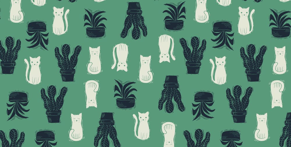 Plants and Cats Example Project - image 2 - student project
