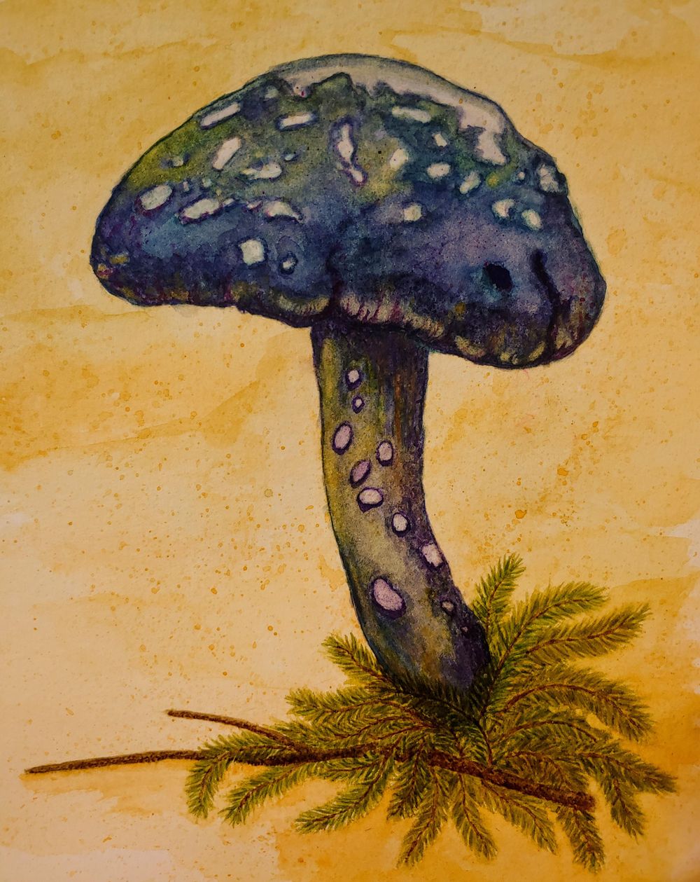 mushroom | Skillshare Student Project