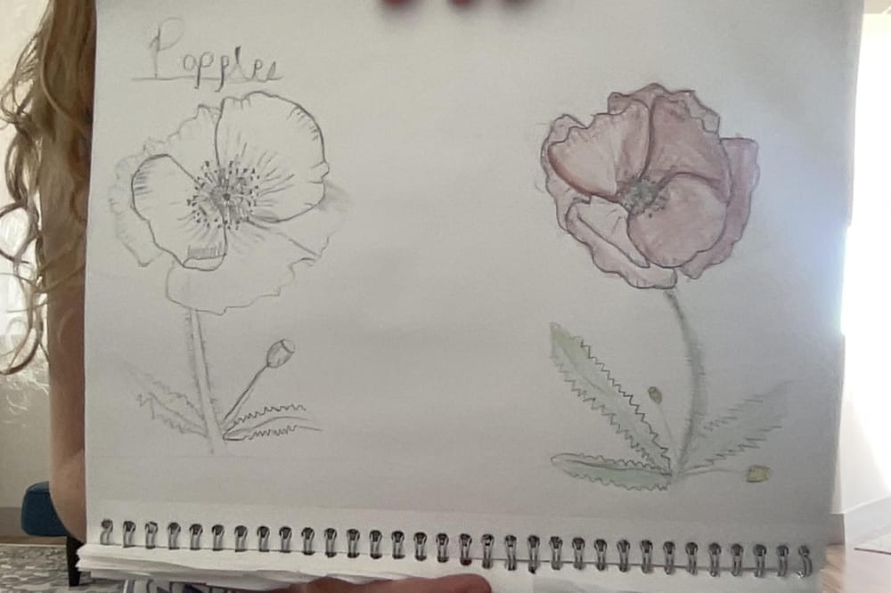 poppies - image 1 - student project