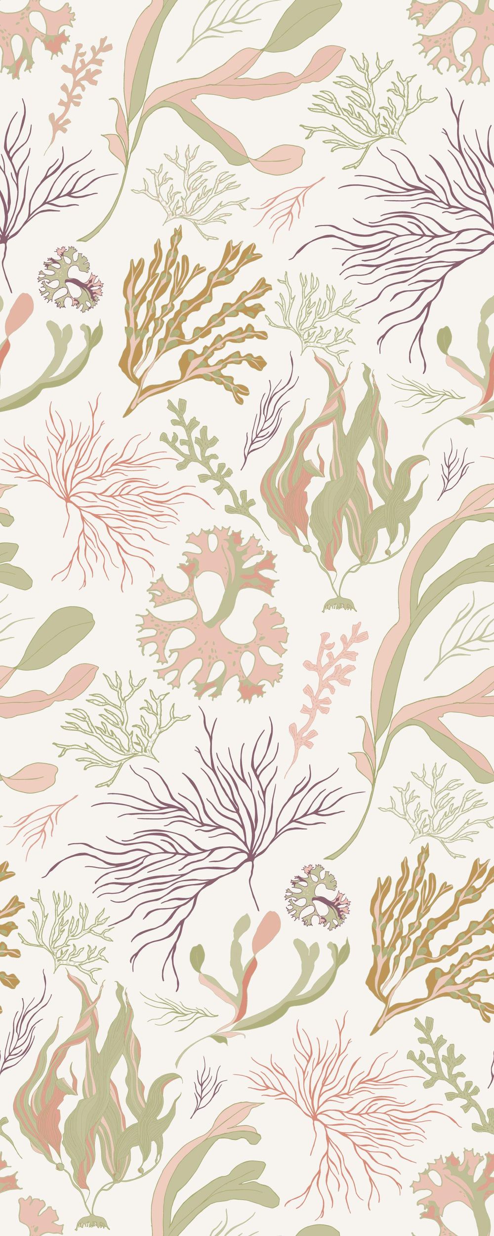 Seaweed Botanical Design_julesjac964 - image 1 - student project