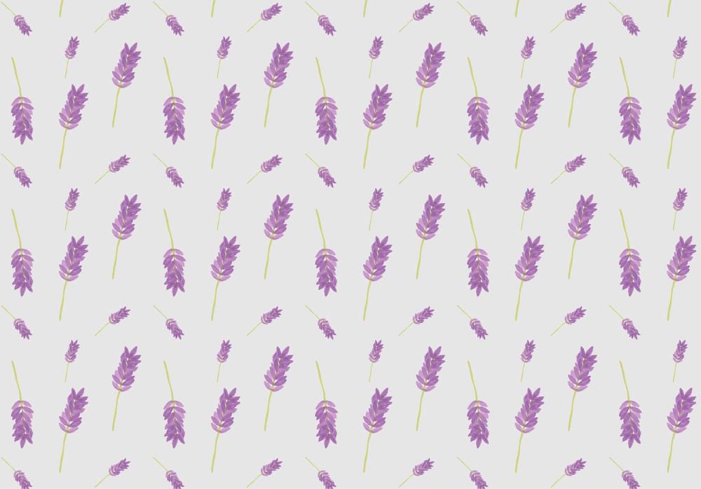 Lavender pattern - image 2 - student project