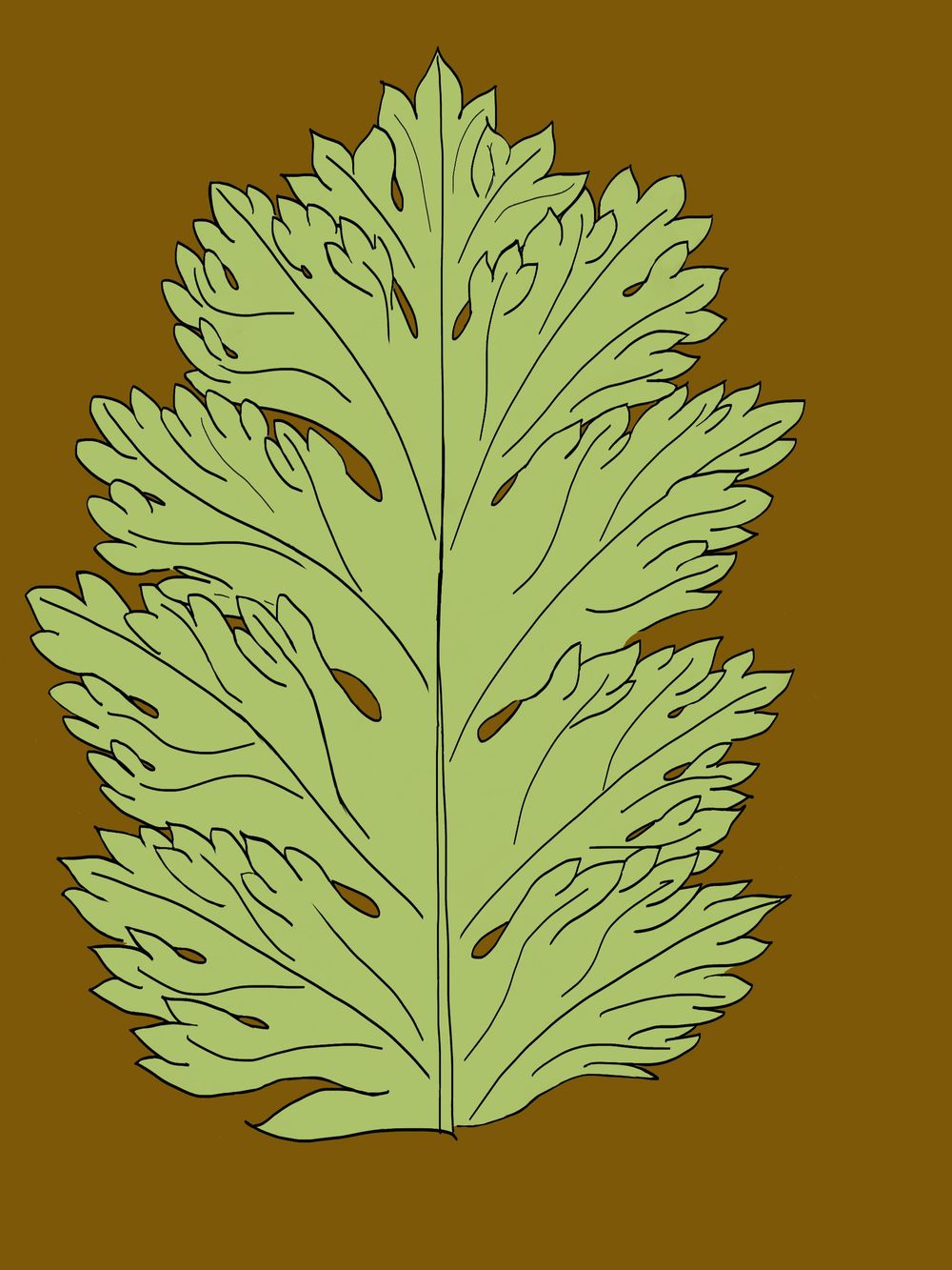 Ancanthus Exercises! - image 3 - student project