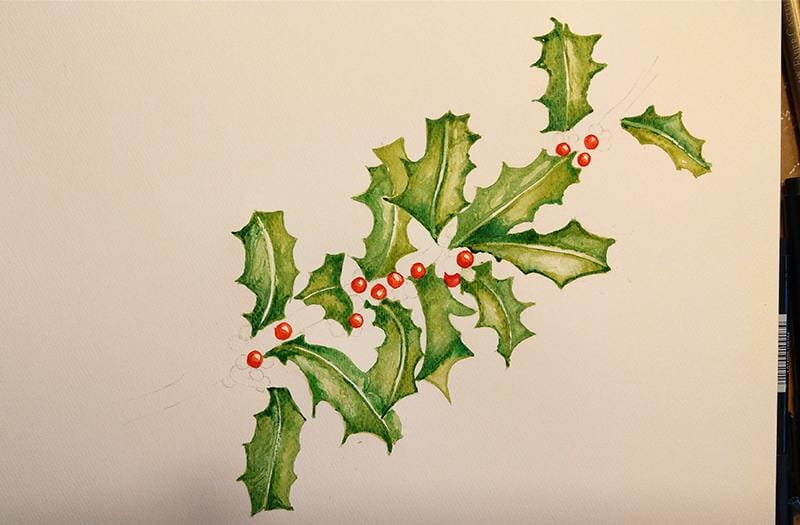 Stechpalme - Holly & Berries - image 3 - student project