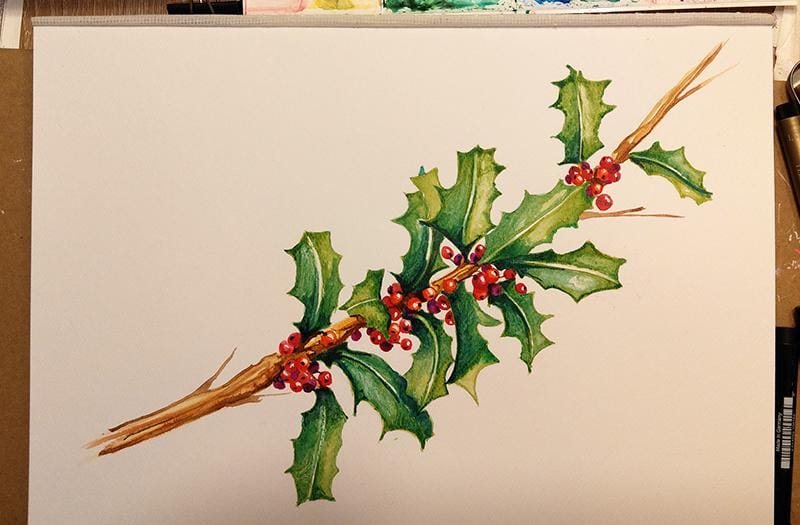 Stechpalme - Holly & Berries - image 5 - student project