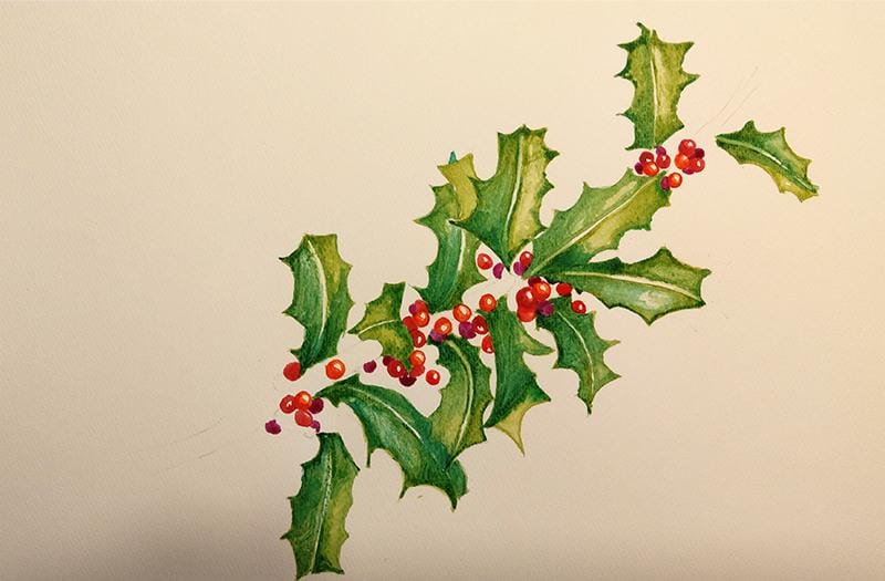 Stechpalme - Holly & Berries - image 4 - student project
