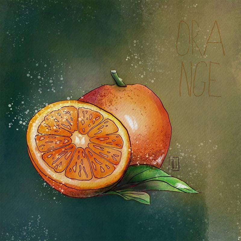 Digital Watercolor Orange - image 3 - student project